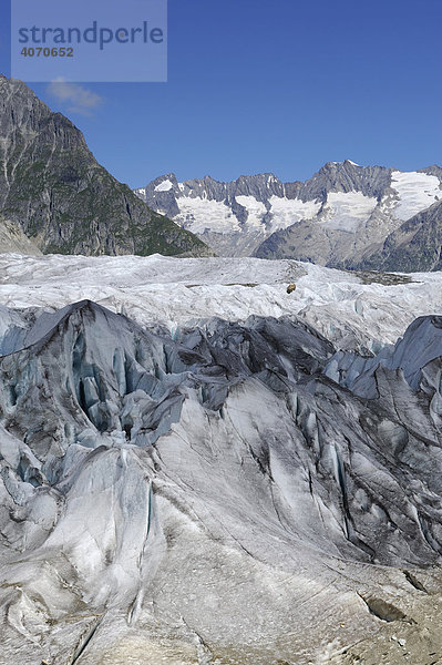 Großer Aletschgletscher  das Herz des UNESCO Weltnaturerbes Jungfrau-Aletsch-Bietschhorn  Goms  Wallis  Schweiz  Europa