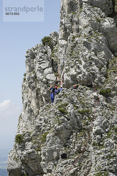 Bergwacht in Übung an der Kampenwand  Bayerische Alpen  Deutschland  Europa