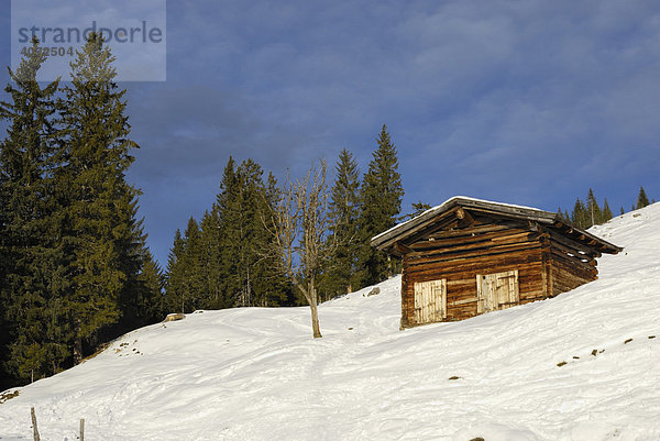 Heuschober aus rohen Holzbalken in alpiner Winterlandschaft  Wildschönau  Tirol  Österreich  Europa