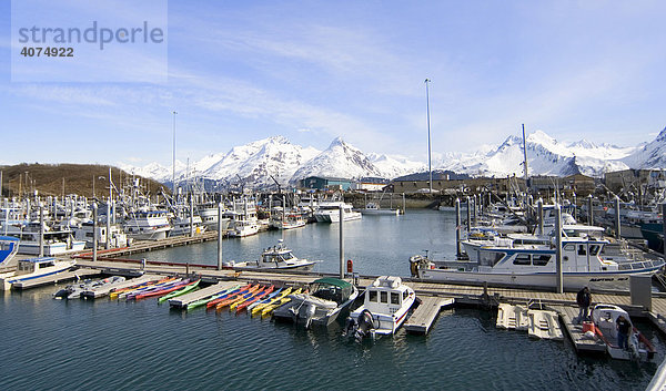 Valdez Small Boat Harbour  Prince William Sound  Alaska  USA