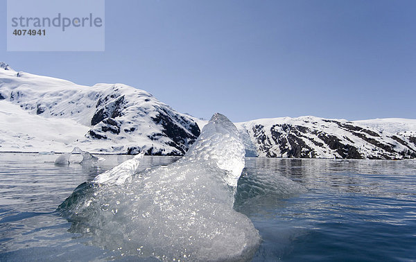 Schmelzender  treibender Eisblock  Beloit Gletscher  Blackstone Bay oder Bucht  Pazifikküste  Prince William Sound  Alaska  USA