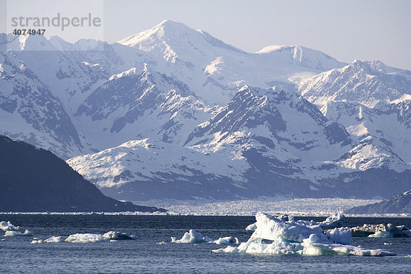 Treibende Eisblöcke  Columbia Bay Bucht  hinten der Columbia Gletscher  Pazifikküste  Prince William Sound  Alaska  USA