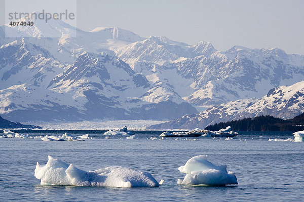 Treibende Eisblöcke in der Columbia Bay  dahinter der Columbia-Gletscher  Pazifik Küste  Chugach National Forest  Prince William Sound  Alaska  USA