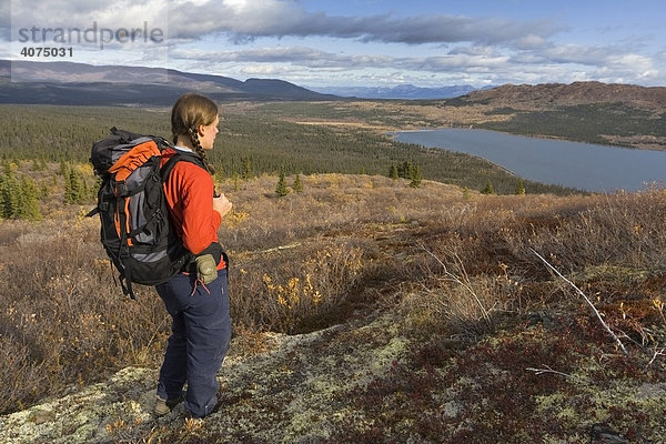 Junge Frau wandert  Rucksacktour  alpine Tundra  Fish See hinten  Herbstfarben  Yukon Territory  Kanada  Nordamerika