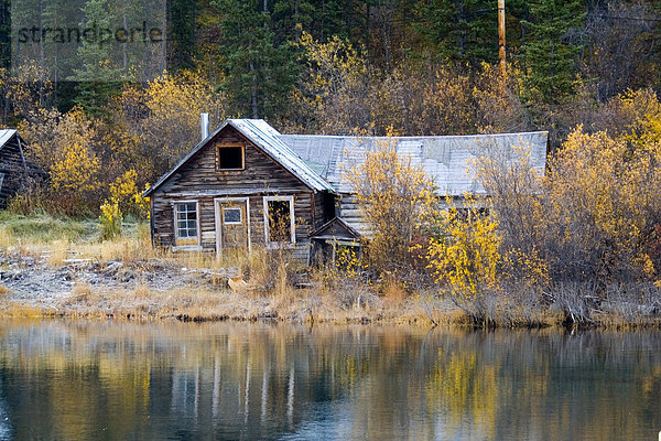 Historische Blockhütte  Klondike Goldrausch  Nares Lake  Lake Benett  Herbstfarben  Carcross  Yukon Territory  Kanada  Nordamerika