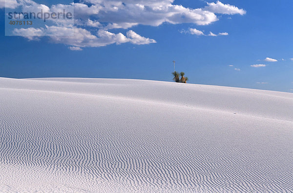 Weiße Dünen im White Sands National Monument  Chihuahua-Wüste  New Mexico  USA