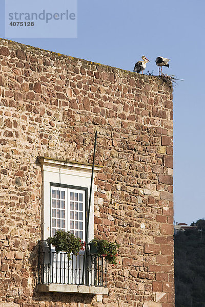 Zwei Störche (Ciconia) in ihrem Nest sitzend auf der historischen Stadtmauer  Silves  Portugal
