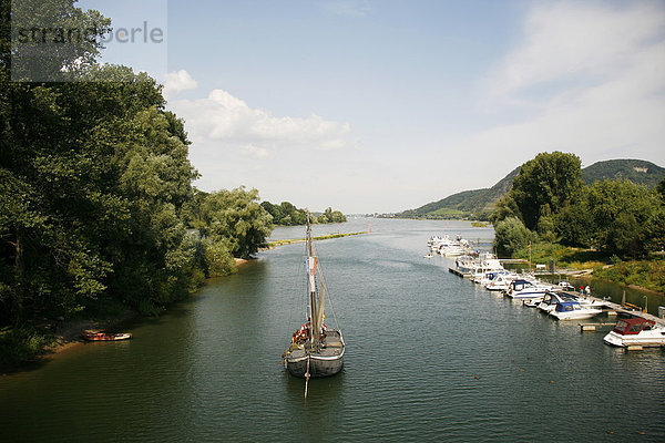 Der Rhein bei Bad Honnef  Drachenfels  Siebengebirge  Insel Grafenwerth  Nordrhein-Westfalen  Deutschland  Europa