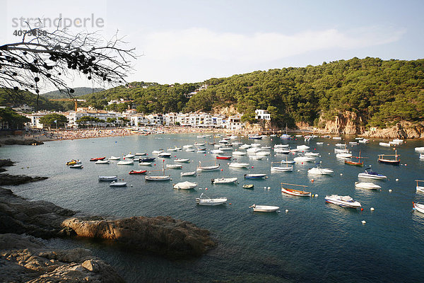 Blick in die Bucht von Tamariu  Costa Brava  Katalonien  Mittelmeer  Spanien  Europa