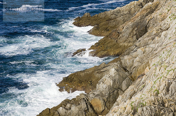 Wilde bretonische Küste am Pte. du Raz  Bretagne  Frankreich  Europa