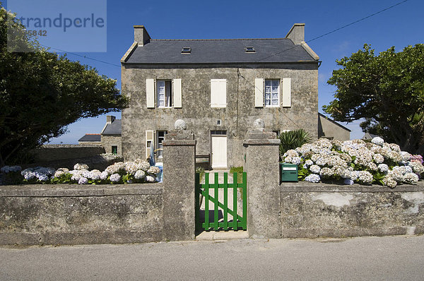 Typisches Haus  Ile d'Ouessant  Bretagne  Frankreich  Europa