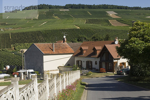 Häuser und Weinberge der Champagne  Frankreich  Europa