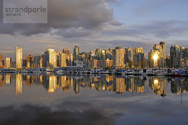 Vancouver Skyline mit Coal Harbour  fotografiert vom Stanley Park  Vancouver  Kanada