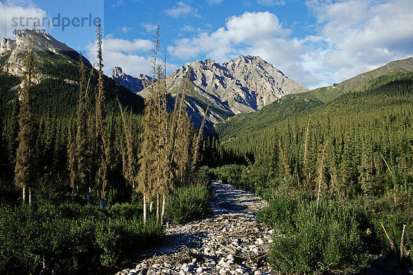 Brooks Range  die nördlichsten Ausläufer der Rocky Mountains  Alaska  USA