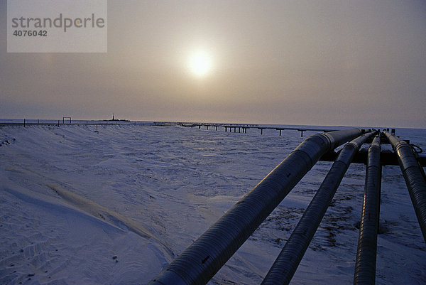 Ölpipeline Prudhoe Bay  Alaska  USA