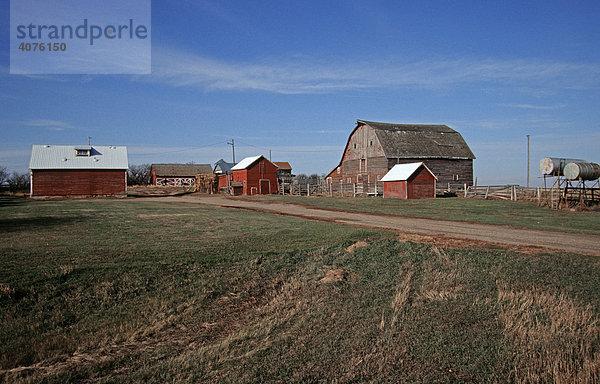 Bauernhof in der Prärie  Saskatchewan  Kanada  Nordamerika