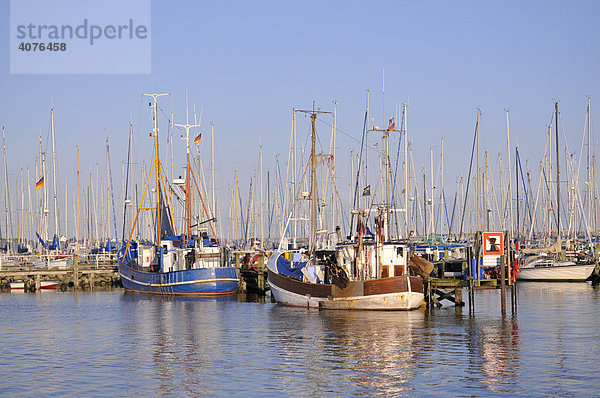 Boote im Hafen in Maasholm  Ostseeküste  Schleimündung  Schleswig-Holstein  Norddeutschland  Deutschland  Europa