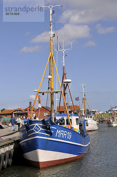 Fischkutter im Hafen von Maasholm  Ostseeküste  Schleimündung  Schleswig-Holstein  Norddeutschland  Deutschland  Europa