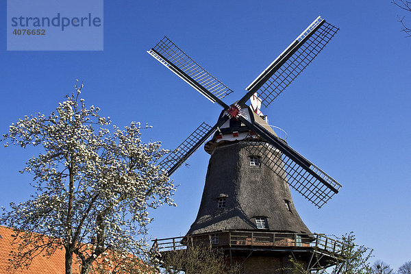 Historische Windmühle  Schlachtmühle  zweistöckiger Galerieholländer mit Windrose  Jever  Ostfriesland  Niedersachsen  Deutschland  Europa