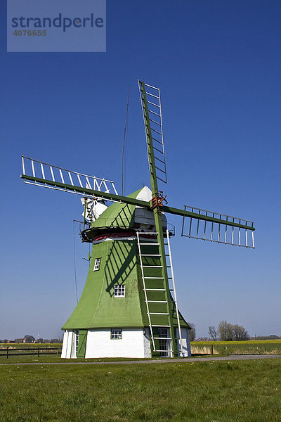 Historische Windmühle  Erdholländer mit Windrose  bei Wittmund  Ostfriesland  Niedersachsen  Deutschland  Europa