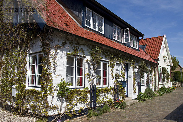 Haus in der historischen Fischersiedlung Auf dem Holm in Schleswig an der Schlei  Schleswig-Holstein  Deutschland  Europa