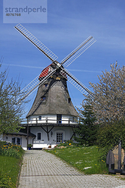 Historische Windmühle in Grödersby an der Schlei  Schleswig-Holstein  Deutschland  Europa