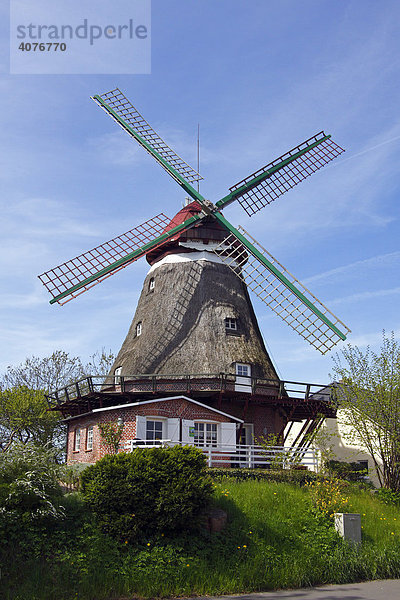 Einstöckiger Galerieholländer  Historische Windmühle namens Lindaumühlenholz in Boren-Lindau an der Schlei  Kreis Schlewig-Flensburg  Schleswig-Holstein  Deutschland  Europa