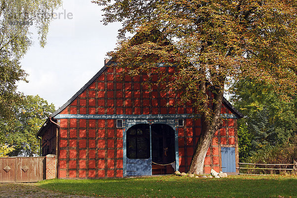 Historisches niedersächsisches Fachwerkhaus im Rundlingsdorf Satemin  Vierständerhaus  ehemaliges Bauernhaus im Rundling  Hannoversches Wendland  Landkreis Lüchow-Dannenberg  Niedersachsen  Deutschland  Europa