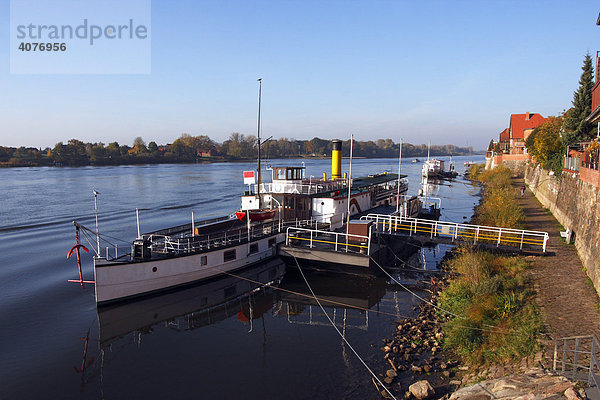 Historisches Dampfschiff Kaiser Wilhelm auf dem Fluss Elbe an der Elbuferpromenade in Lauenburg  Kreis Herzogtum Lauenburg  Schleswig-Holstein  Deutschland  Europa