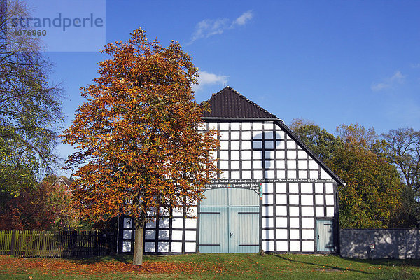 Historisches niedersächsisches Fachwerkhaus mit typischer großer Tür im Dorf Luckau im Herbst  Ständerhaus  Bauernhaus  Hannoversches Wendland  Landkreis Lüchow-Dannenberg  Niedersachsen  Deutschland  Europa