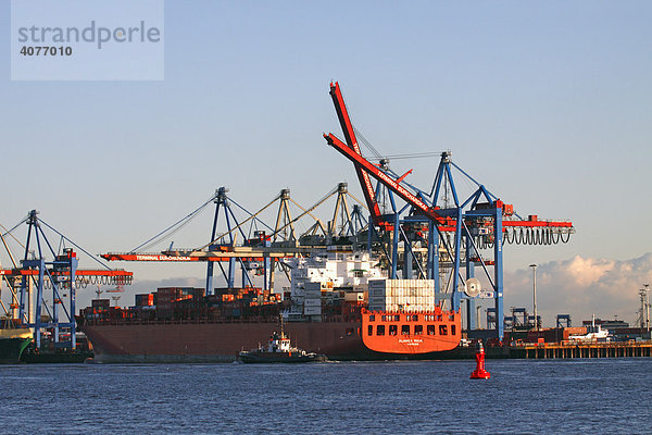 Containerschiff Alianca Maua bei der Containerverladung am Containerterminal Burchardkai im Hamburger Hafen an der Elbe  Hamburg  Deutschland  Europa