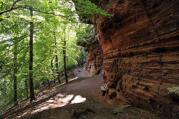 Altschlossfelsen  Eppenbrunn  Naturpark Pfälzerwald  Pfalz  Rheinland-Pfalz  Deutschland  Europa