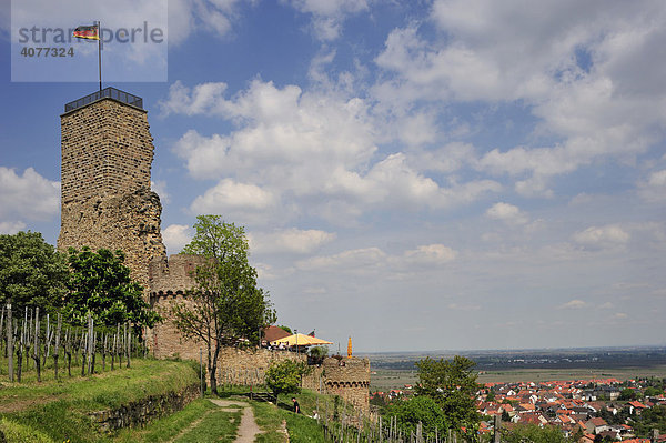 Die Wachtenburg inmitten von Weinbergen mit Blick ins Rheintal  Wachenheim  Naturpark Pfälzerwald  Pfalz  Rheinland-Pfalz  Deutschland  Europa