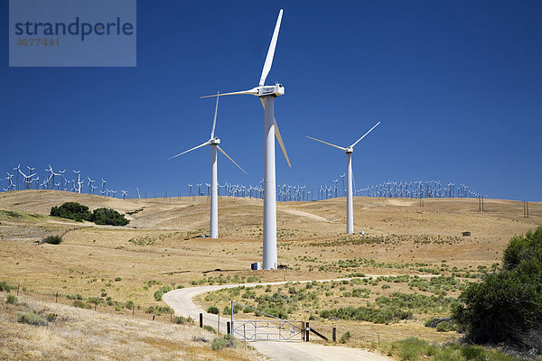 Die zweitgrößte Ansammlung von Windkraftturbinen der Welt in Tehachapi Pass  nordöstlich von Los Angeles  Tehachapi  Kalifornien  USA