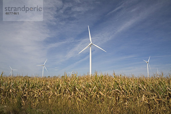 Windkraftturbinen in der Harvest Wind Farm  Windpark  Pigeon  Michigan  USA