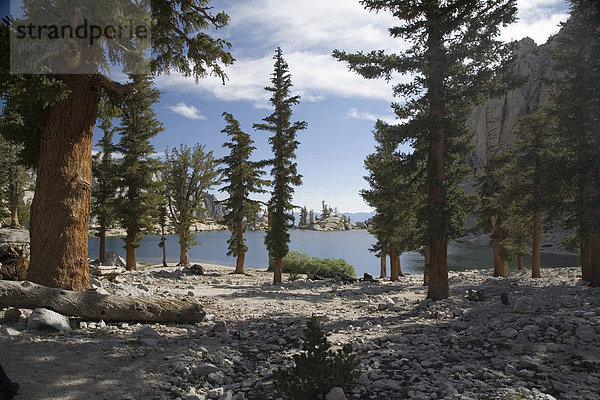 Lone Pine Lake  See auf über 3000 m Höhe auf dem Mount Whitney im Sierra Nevada Gebirge  Inyo Nationalforst  Kalifornien  USA