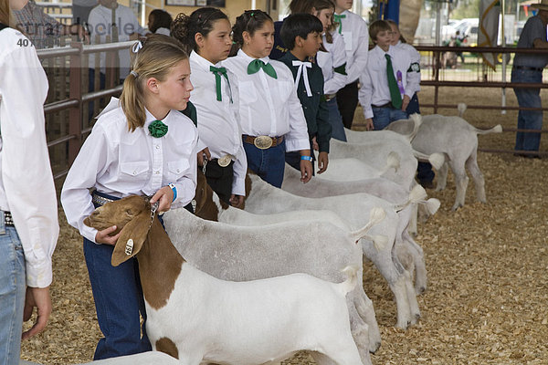 Kinder stellen während des 4-H Wettbewerbs im Yuma County Jahrmarkt ihre Ziegen aus  Yuma  Arizona  USA