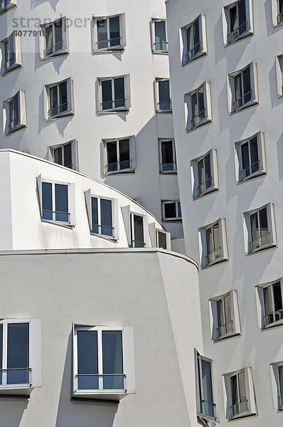 Gehry-Bauten  Düsseldorf  Nordrhein-Westfalen  Deutschland  Europa