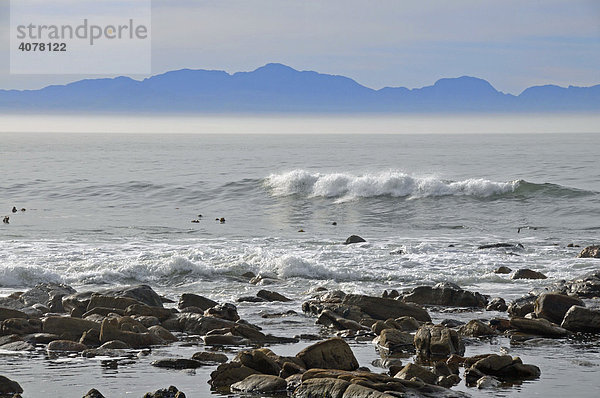 Strand von St. James bei Muizenberg  Falsebay  Somerset West  Südafrika  Afrika