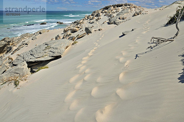 Sanddüne  De Hoop Nature Reserve  Naturreservat  Südafrika  Afrika