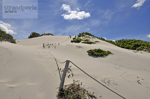 Sanddüne  De Hoop Nature Reserve  Naturreservat  Südafrika  Afrika