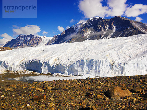 Abbruch des Canada-Gletschers im Taylor Valley  Dry Valleys  Antarktis