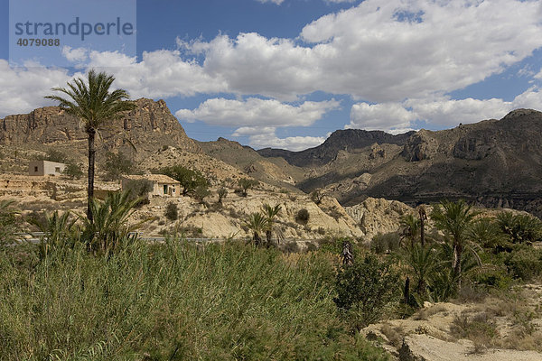 Landwirtschaft im Tal von Ricote. Ricote  Region Murcia  Spanien  Europa