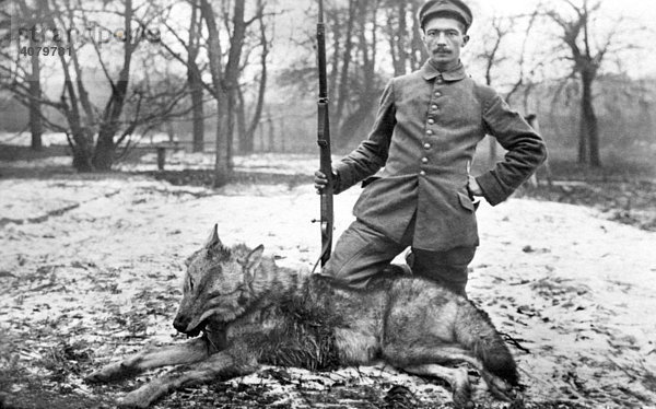 Historische Aufnahme  deutscher Soldat erlegt einen Wolf  ca. 1915 in Russland