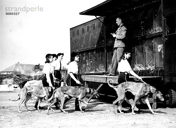 Historische Aufnahme  Hundedressur  ca. 1926