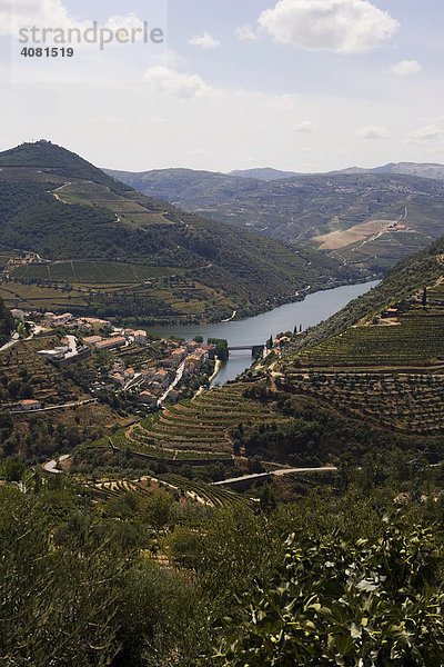Aussicht auf das Dourotal und Weinberge in Nordportugal  bei Pinhao