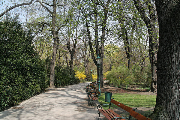 Stadtpark  Park  einsamer Weg  Bäume (Österreich  Wien)