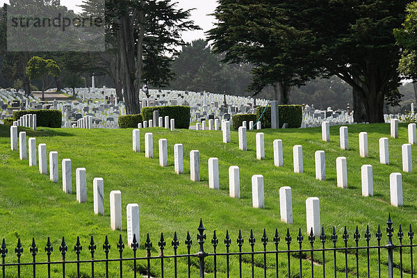 Presidio  Militärfriedhof  San Francisco  Kalifornien  Nordamerika  USA