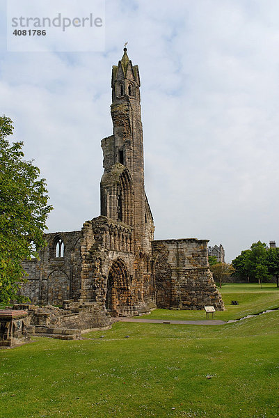 Ruine der St. Andrews Cathedral  St. Andrews  Schottland  Großbritannien