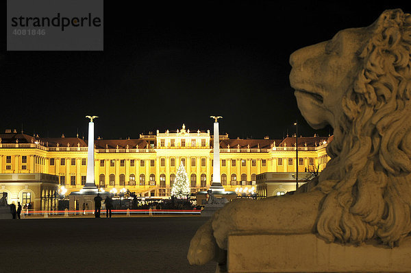 Schloss Schönbrunn  Nachtaufnahme  Wien  Österreich